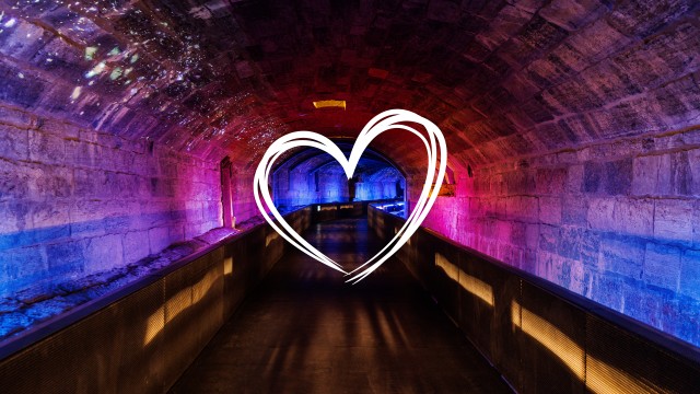 2025-2026 Annual Campaign