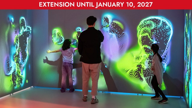 Exhibition Extended: Alley-oop—An Interactive Adventure