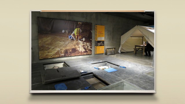 Your Museum to Discover