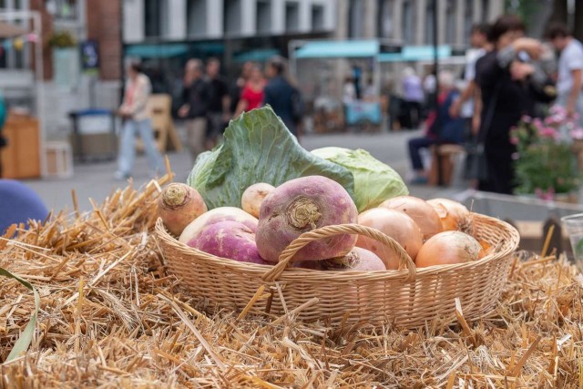 Marché public dans l’ambiance du 18e siècle