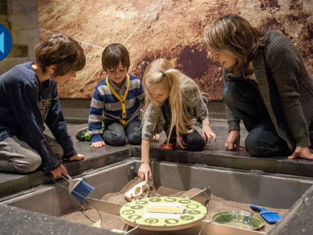 FAMILY ACTIVITY | Archaeo Mission